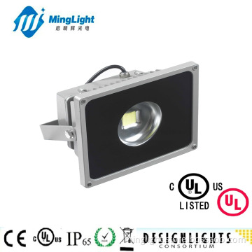 110V Portable Lighting, Industrial Projector (FL03-50W)